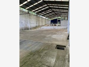 Bodega en Venta en Benito Juarez Xalapa