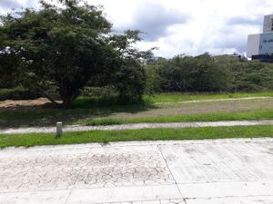 Terreno en Venta en Residencial del Lago Xalapa