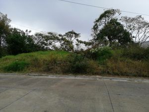 Terreno en Venta en INDECO ANIMAS  Xalapa