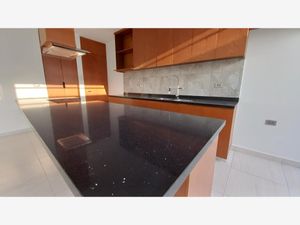 Casa en Venta en Paseo de la Reina Xalapa