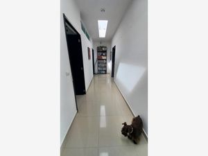 Casa en Venta en Residencial Monte Magno Xalapa