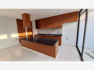 Casa en Venta en Paseo de la Reina Xalapa