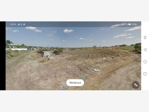 Terreno en Venta en La Tinaja Emiliano Zapata