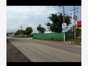 Terreno en Venta en La Orduña Coatepec