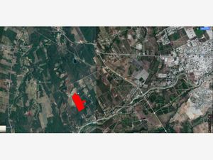 Terreno en Venta en Gil de Leyva Montemorelos