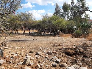 Terreno en Venta en San Miguel de Allende Centro San Miguel de Allende