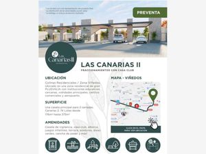 Terreno en Venta en Quintas del Palmar Torreón