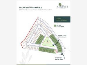 Terreno en Venta en Quintas del Palmar Torreón