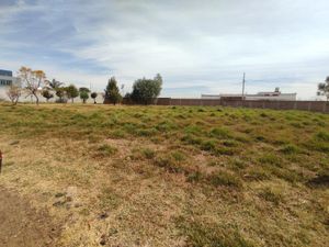 Terreno en Venta en San Rafael Comac San Andrés Cholula