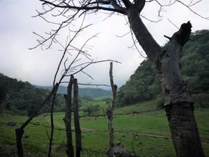 Terreno en Venta en Carretera Comala - San José del Carmen Comala