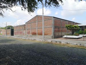 Bodega en Renta en Los Viveros Colima