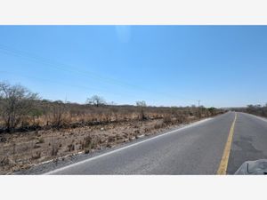 Terreno en Renta en Juluapan Villa de Álvarez