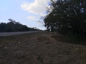 Terreno en Venta en Trapichillos Colima