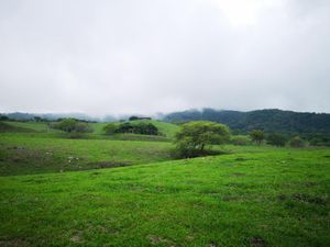 Terreno en Venta en Carretera Comala - San José del Carmen Comala