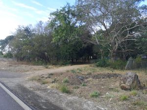 Terreno en Venta en Trapichillos Colima