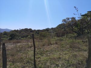 Terreno en Venta en Pihuamo Pihuamo