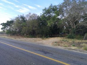 Terreno en Venta en Trapichillos Colima