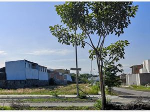 Terreno en Renta en Residencial El Roble Colima