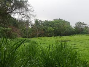 Terreno en Venta en Carretera Chivato Villa de Álvarez