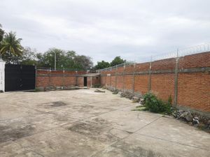 Bodega en Renta en Los Viveros Colima