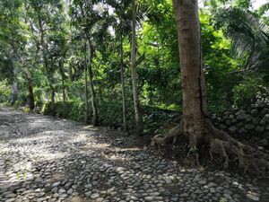 Terreno en Venta en Centro Comala