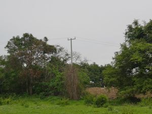 Terreno en Venta en Carretera Chivato Villa de Álvarez