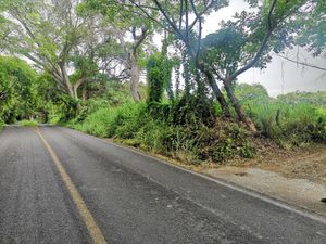 Terreno en Venta en Carretera Chivato Villa de Álvarez