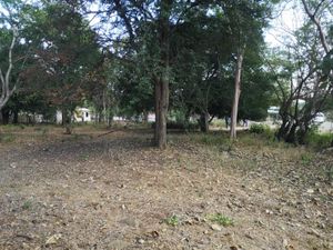 Terreno en Venta en Trapichillos Colima