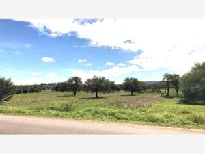 Terreno en Venta en La Cieneguita San Miguel de Allende