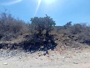 Terreno en Venta en Las Cañas San Miguel de Allende