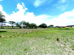 Terreno en Venta en La Cieneguita San Miguel de Allende