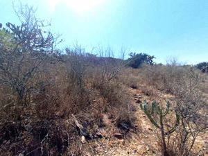 Terreno en Venta en Las Cañas San Miguel de Allende