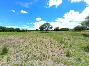 Terreno en Venta en La Cieneguita San Miguel de Allende