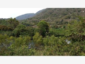 Terreno en Venta en Jalcomulco Jalcomulco