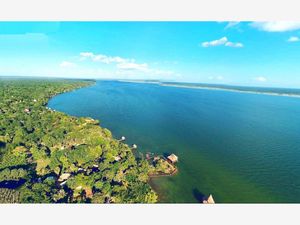 Terreno en Venta en Aarón Merino Bacalar