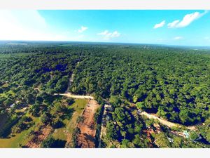 Terreno en Venta en Aarón Merino Bacalar