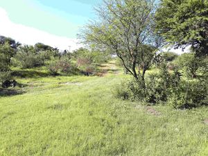 Terreno en Venta en Rancho Nuevo (Rancho Nuevo de Banda) San Miguel de Allende