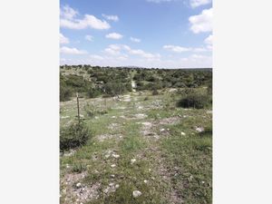 Terreno en Venta en Rancho Nuevo (Rancho Nuevo de Banda) San Miguel de Allende