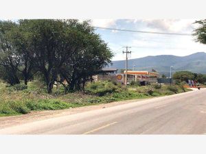 Terreno en Venta en La Cieneguita San Miguel de Allende