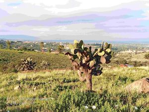Terreno en Venta en La Cieneguita San Miguel de Allende