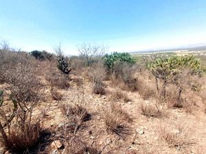 Terreno en Venta en Las Cañas San Miguel de Allende