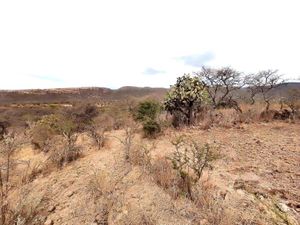 Terreno en Venta en Estancia de Canal San Miguel de Allende