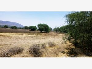 Terreno en Venta en TEQUISQUIAPAN Dolores Hidalgo Cuna de la Independencia Nacional