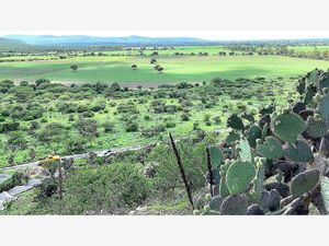 Terreno en Venta en Los Rodriguez San Miguel de Allende