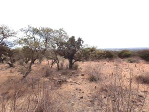 Terreno en Venta en Estancia de Canal San Miguel de Allende