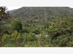 Terreno en Venta en Jalcomulco Jalcomulco