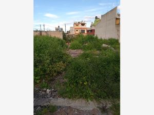 Terreno en Venta en La Guadalupana Ecatepec de Morelos