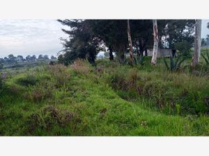 Terreno en Venta en Los Gavilanes Aculco