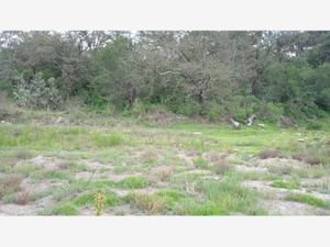 Terreno en Venta en Los Gavilanes Aculco