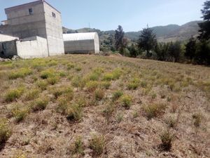 Terreno en Venta en La Soledad Aculco